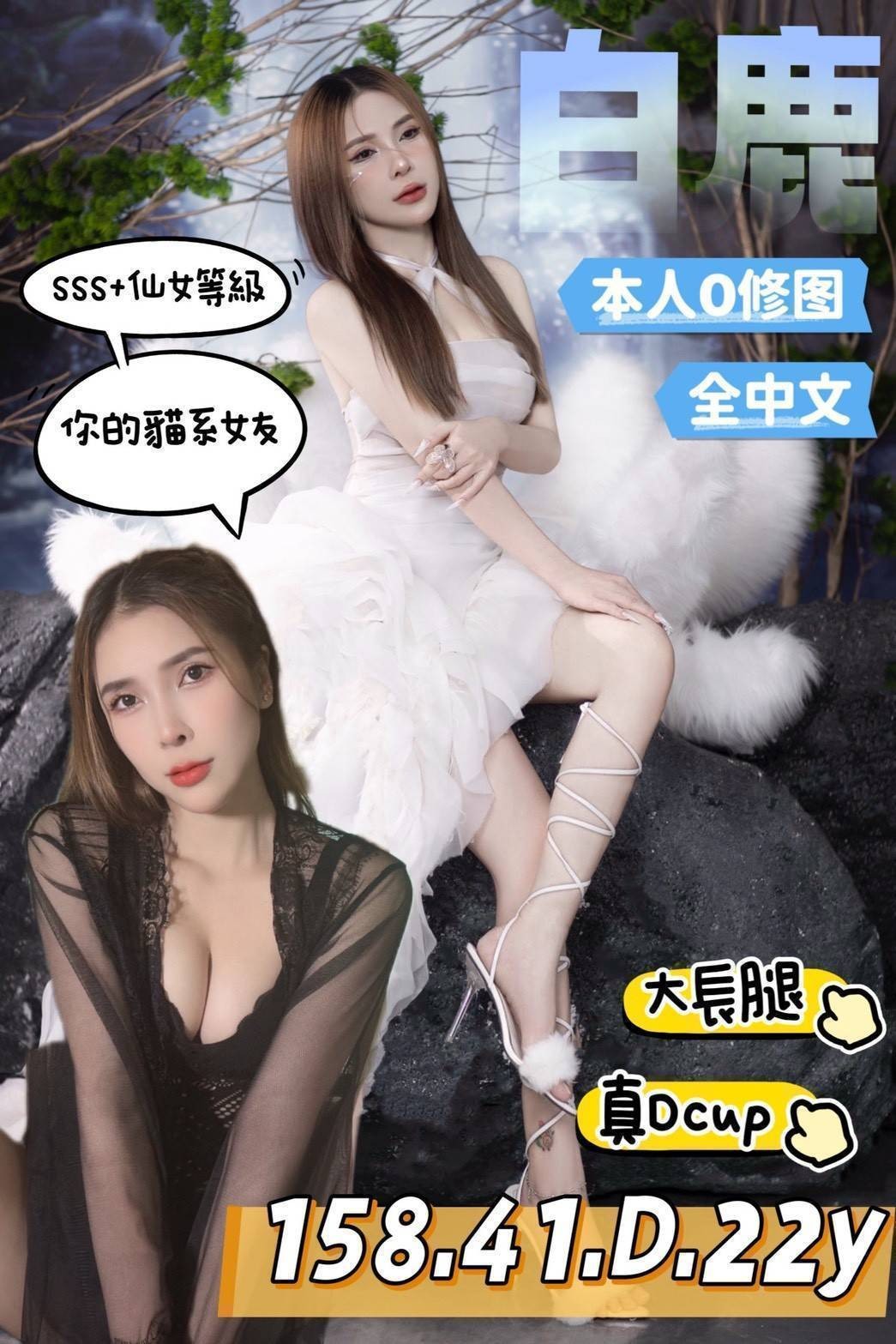 台南安南 善化 永康定點 台南安南 善化 永康定點